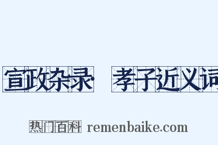 宣政杂录·孝子近义词是什么意思的图片